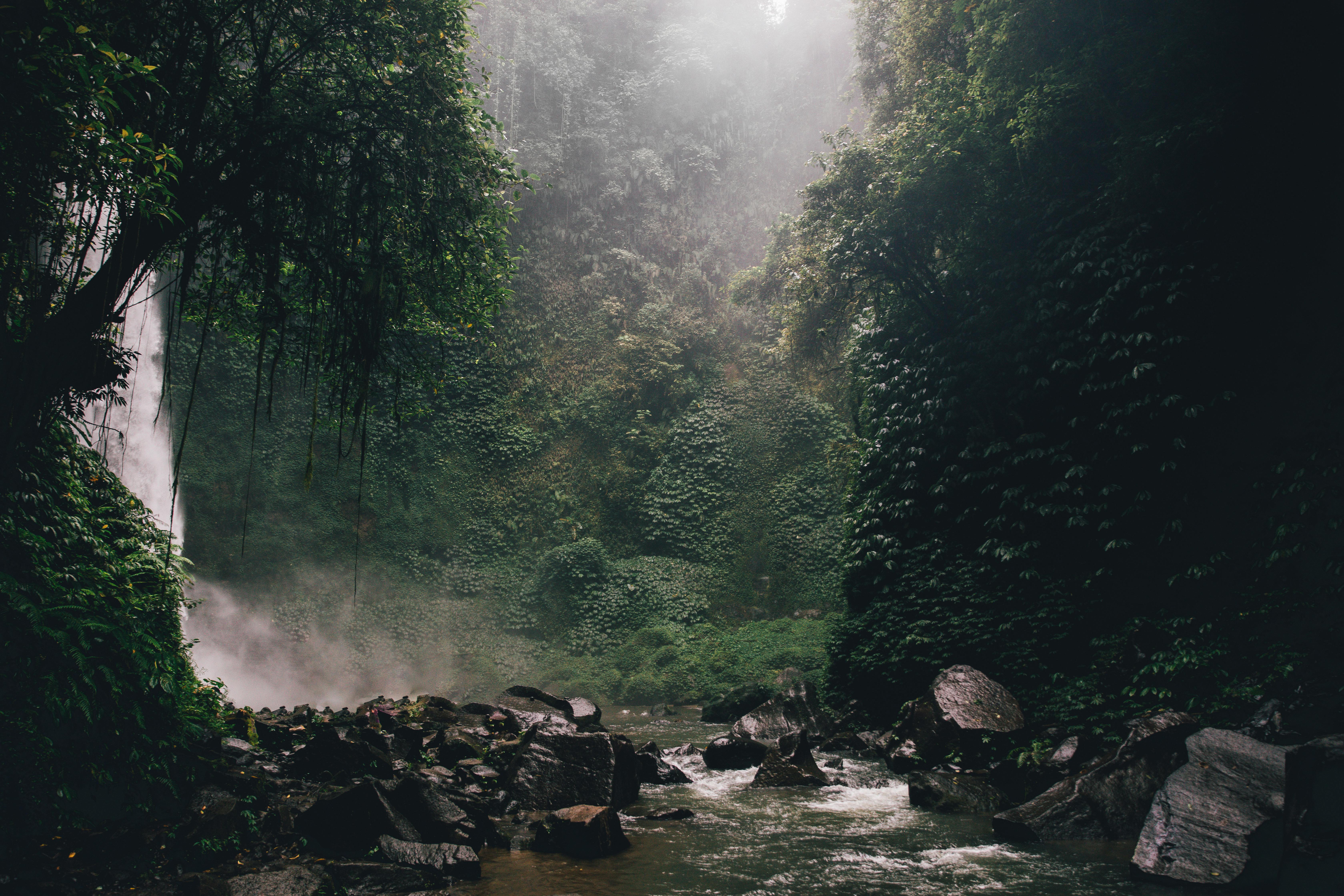 Bali