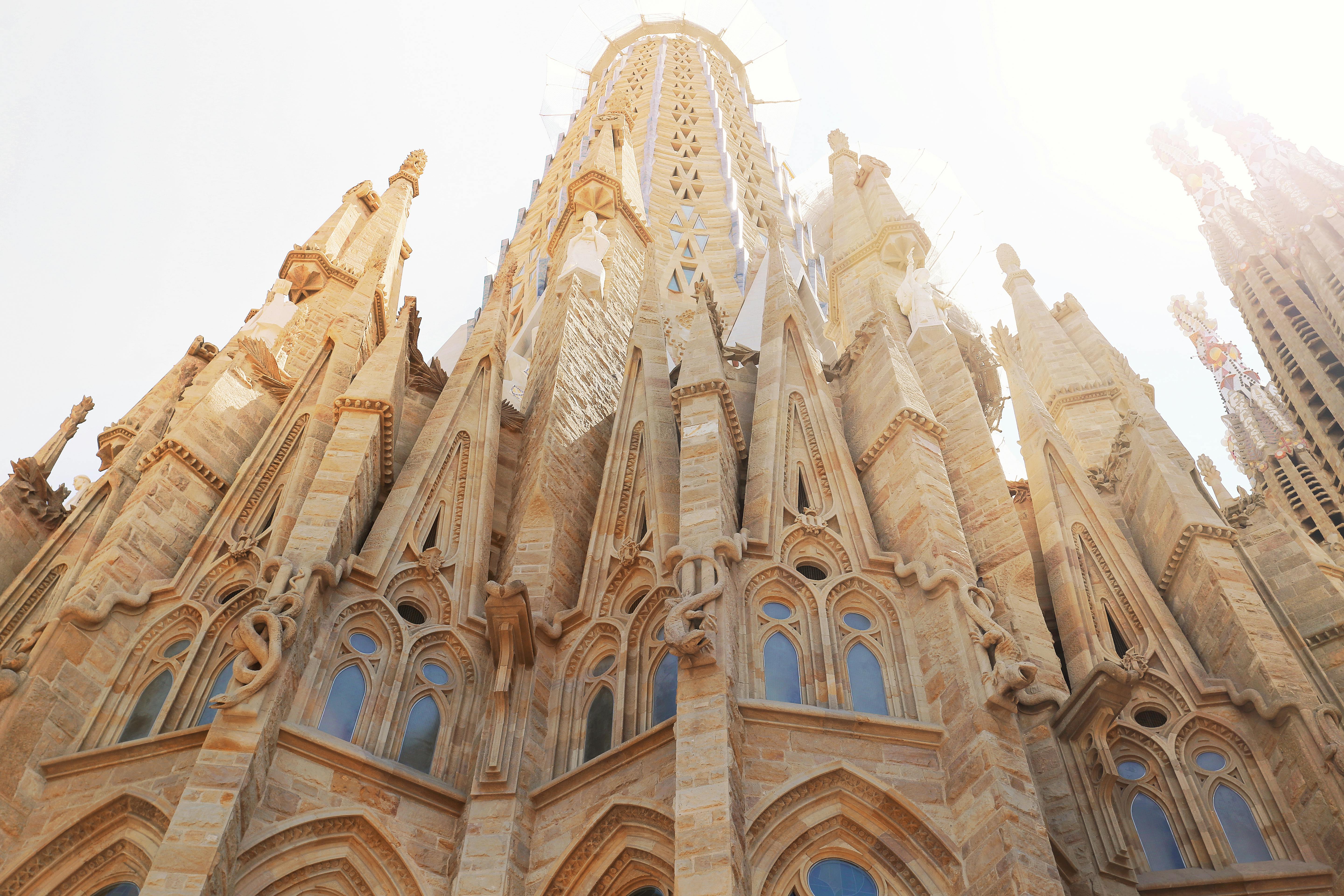 View of Sagrada Familia with blue skies and palm trees